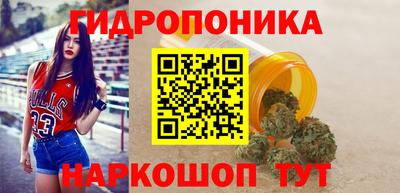 Альфа ПВП Сланцы