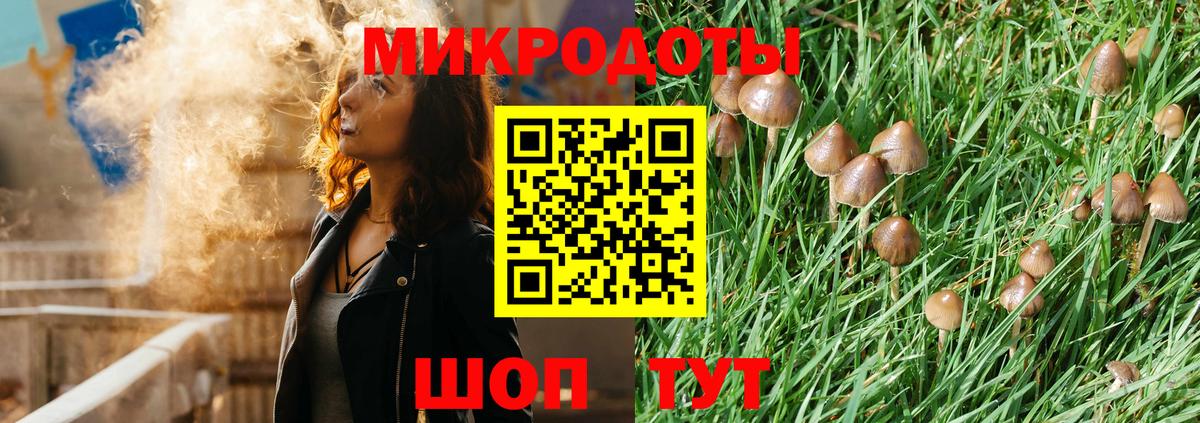 Мичуринск  Галлюциногенные грибы Cubensis  Галлюциногенные грибы Psilocybe  Вход с VPN 