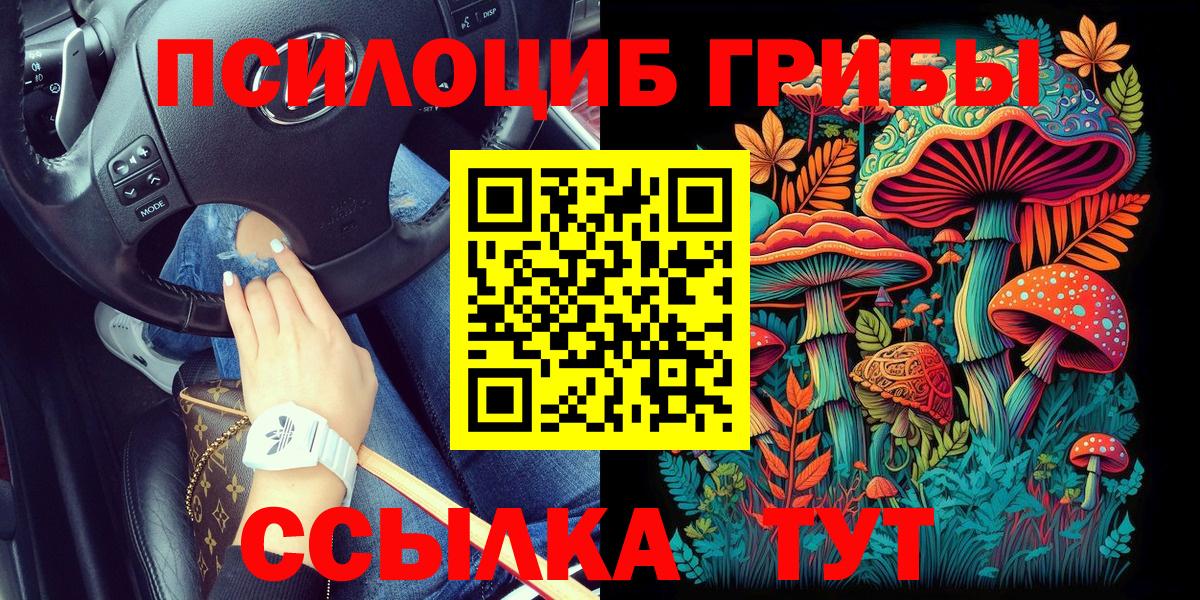 Псилоцибиновые грибы прущие грибы Мичуринск